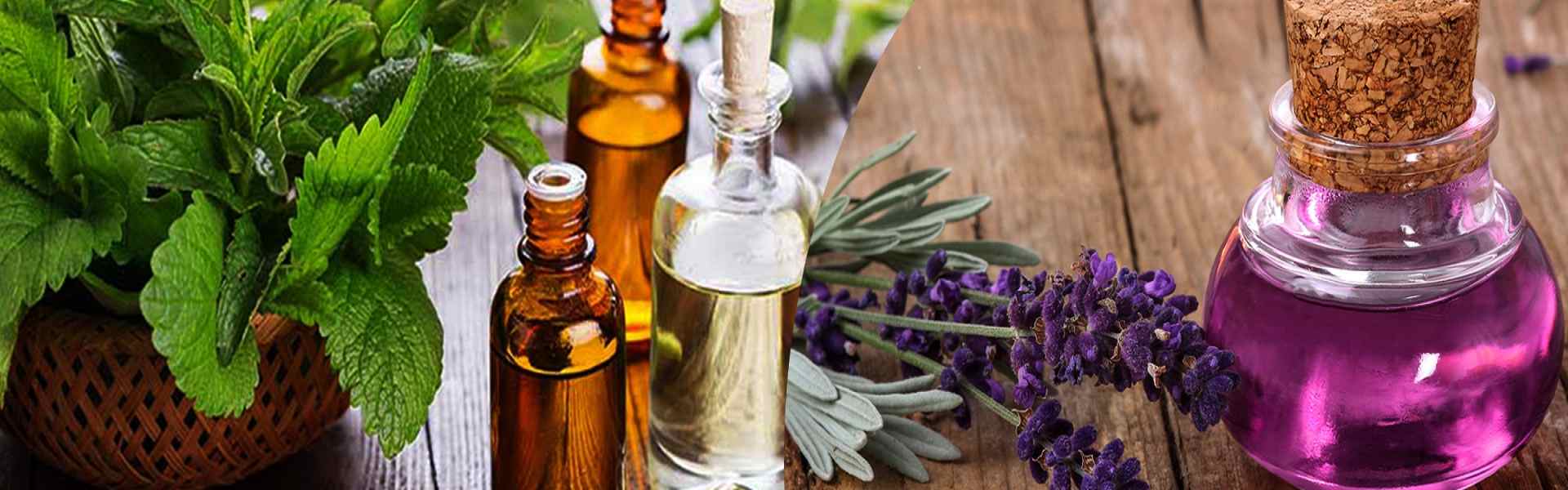 100% Natural: Find highest quality of Essential Oils